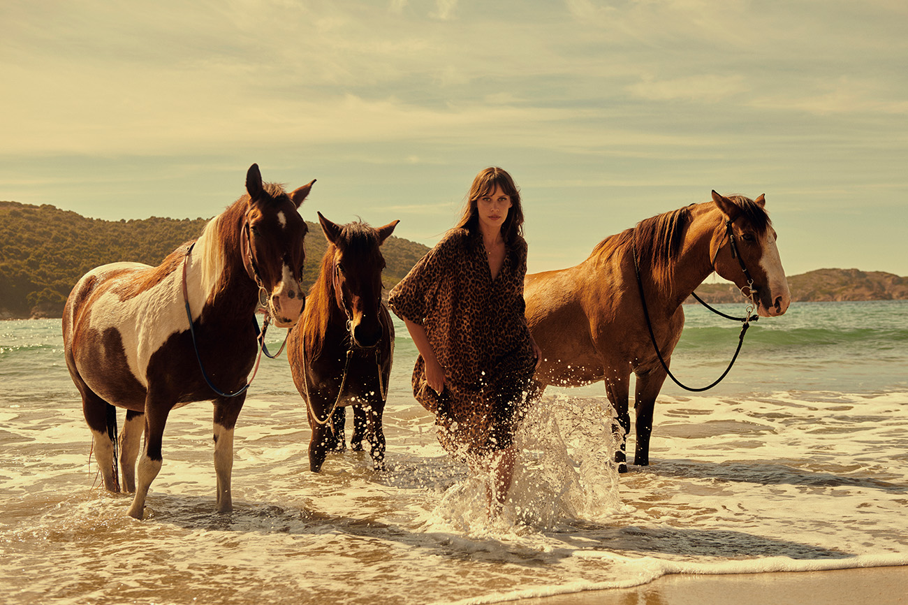 img-diapo